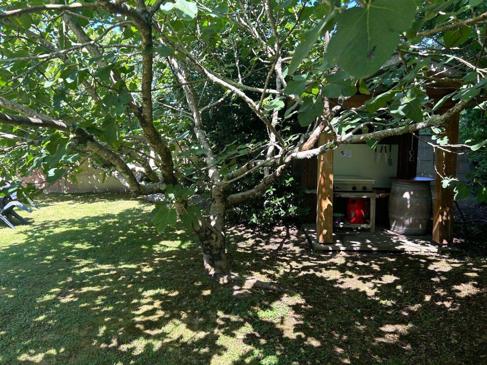 Jolie Maison Le Teich Bassin Park/Wifi 외부 사진